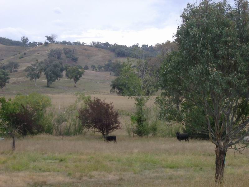 29 Smarts Road, Tumut NSW 2720