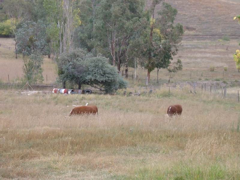 29 Smarts Road, Tumut NSW 2720