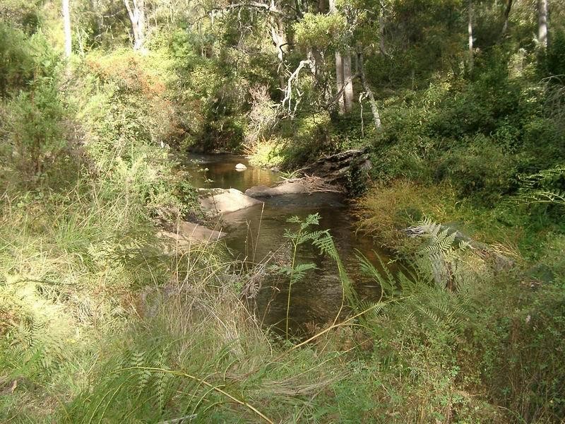 Batlow NSW 2730