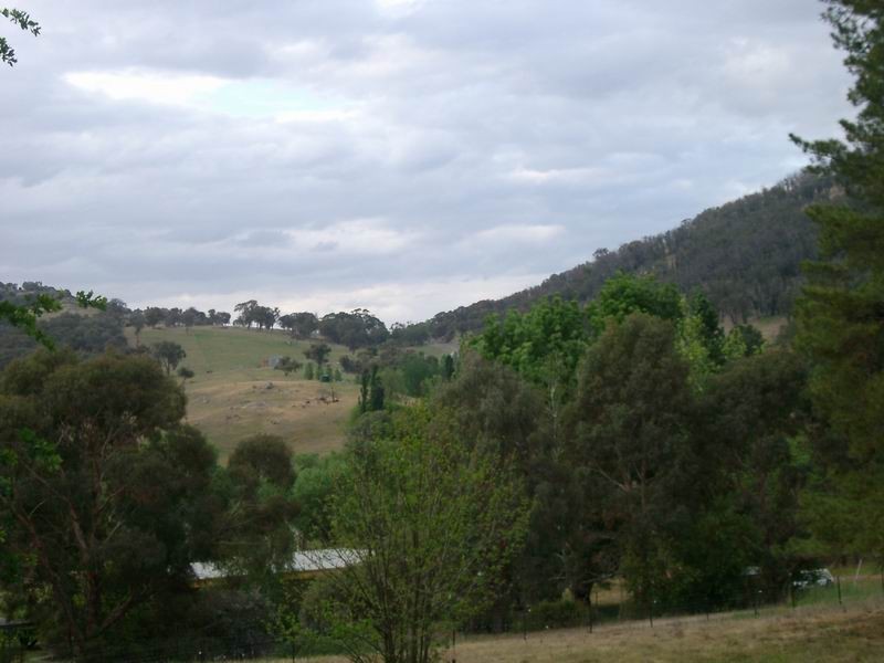 RMB 726 Greenhills Road, , Wondalga NSW 2729