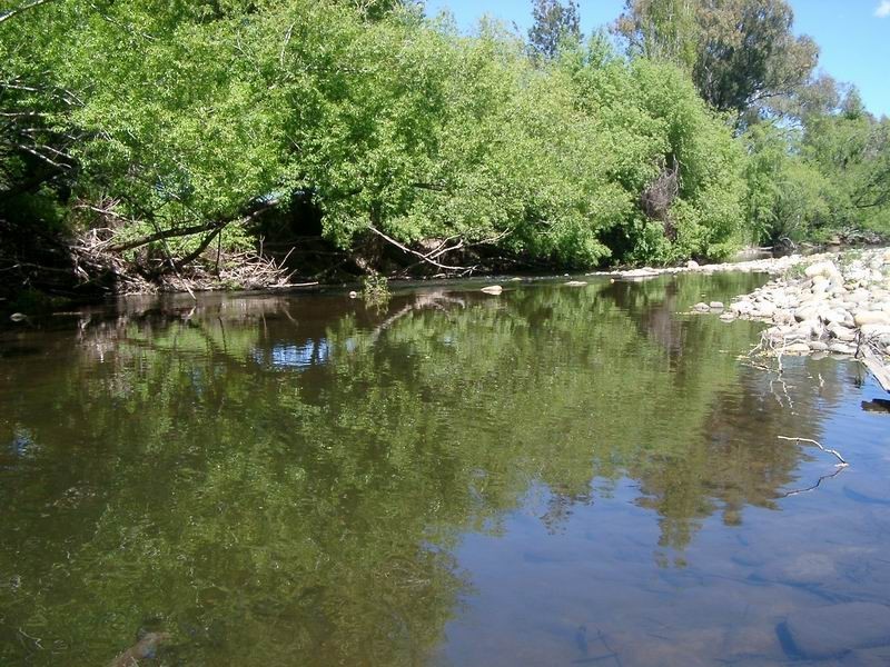 Tumut NSW 2720