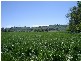 Tumut NSW 2720