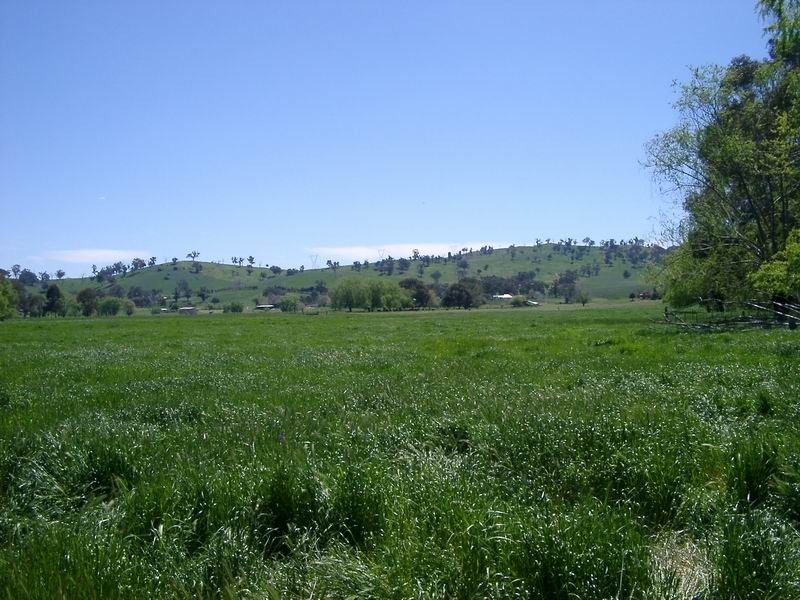 Tumut NSW 2720