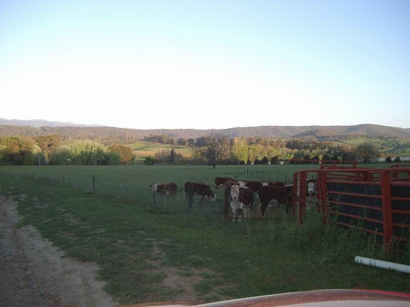 69 Herrings Road, Batlow NSW 2730