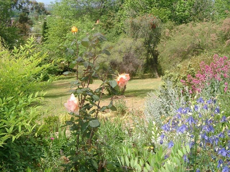 60 Dalhunty Street, Tumut NSW 2720