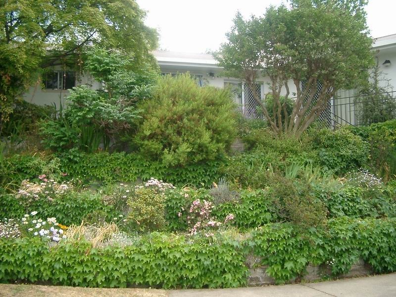 60 Dalhunty Street, Tumut NSW 2720