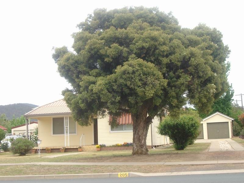 205 Capper Street, Tumut NSW 2720