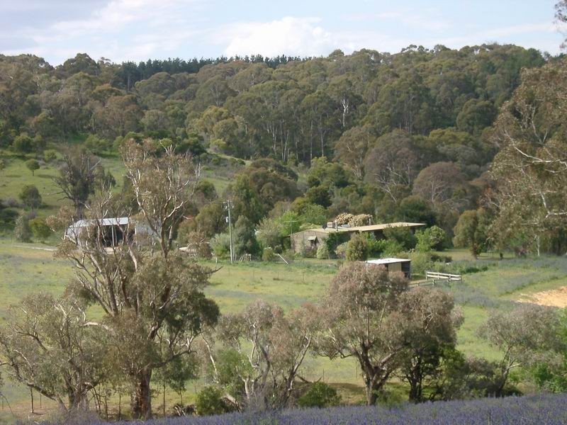 0 Argalong  Road, Lacmalac NSW 2720