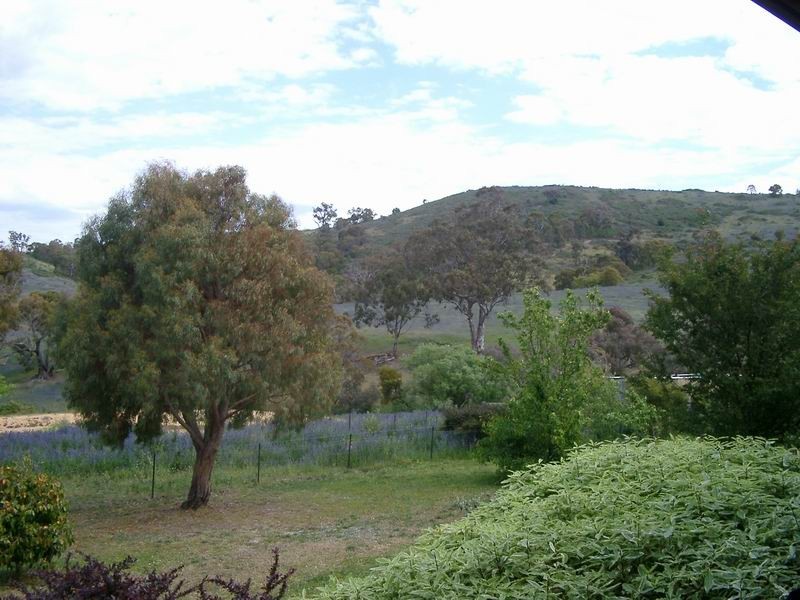 0 Argalong  Road, Lacmalac NSW 2720