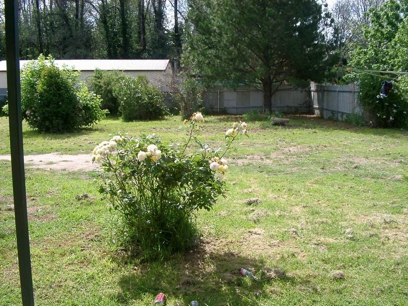 62 Selwyn Street, Adelong NSW 2729