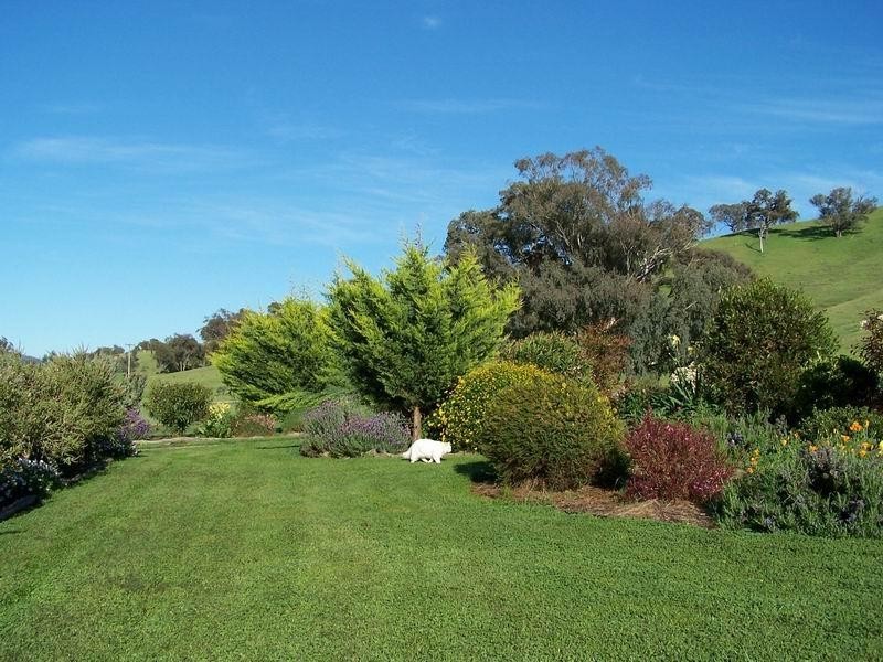 52 Cockatoo Road, Tumut NSW 2720