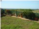 Dunbogan NSW 2443