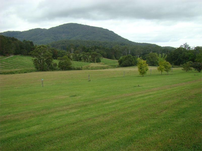 Stewarts River NSW 2443