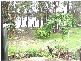 Laurieton NSW 2443