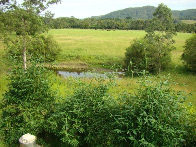 Logans Crossing NSW 2439