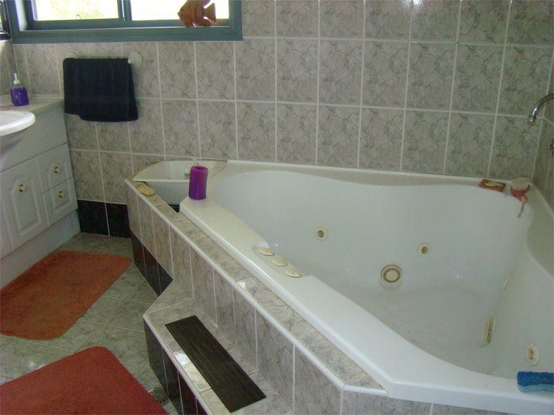 Logans Crossing NSW 2439