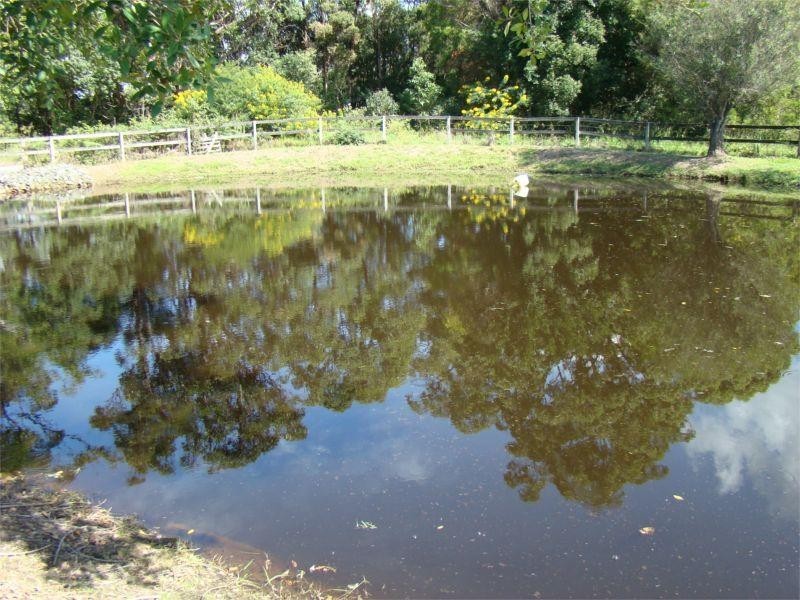 Johns River NSW 2443