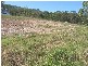 Laurieton NSW 2443