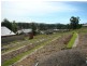 Laurieton NSW 2443