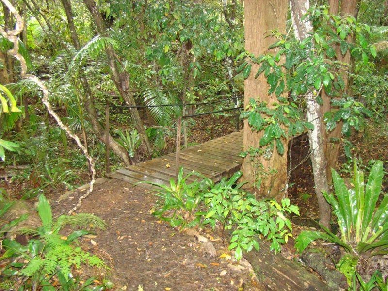 Kendall NSW 2439
