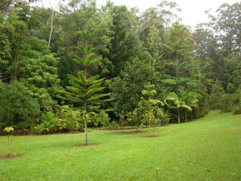 Kendall NSW 2439