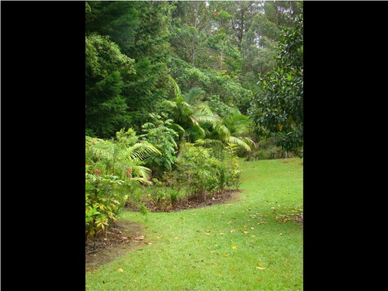Kendall NSW 2439