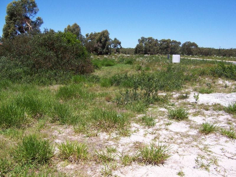 Dunbogan NSW 2443