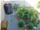6 Allenwood Street, Camden Head NSW 2443