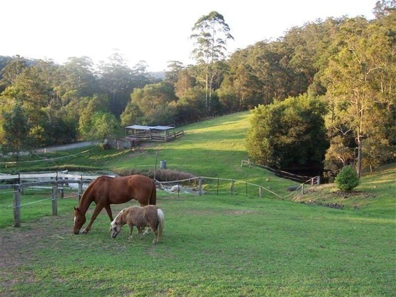 559 Batar Creek Road, Kendall NSW 2439