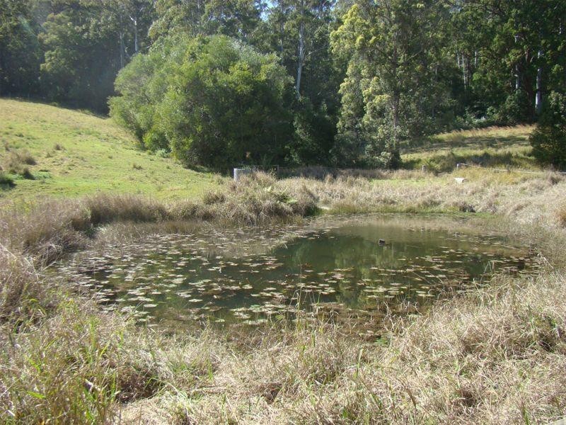 559 Batar Creek Road, Kendall NSW 2439