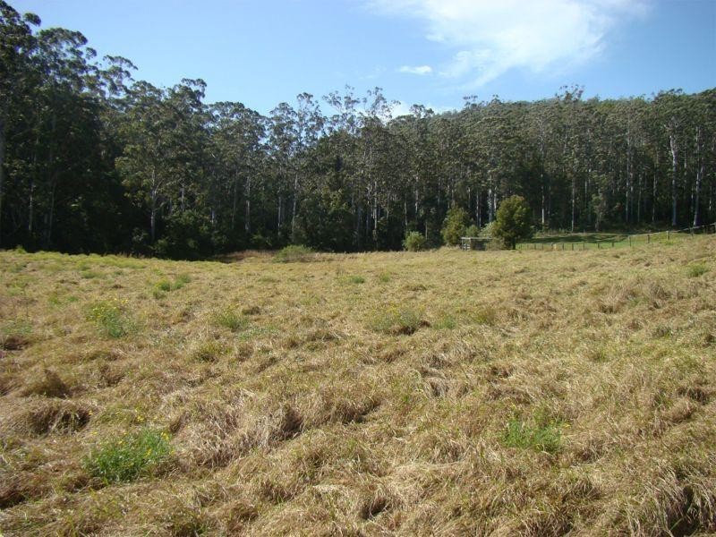 559 Batar Creek Road, Kendall NSW 2439