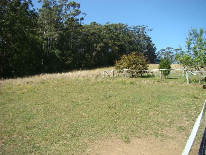 559 Batar Creek Road, Kendall NSW 2439