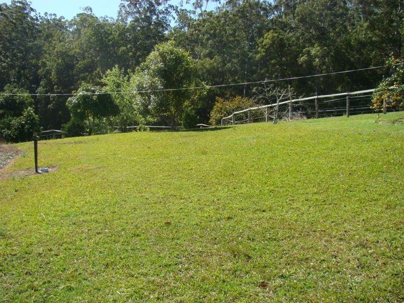 559 Batar Creek Road, Kendall NSW 2439