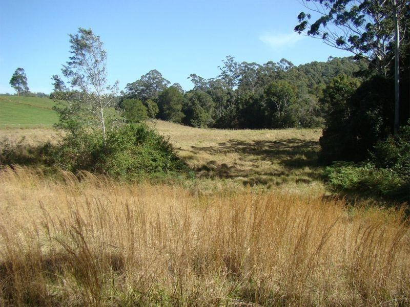 559 Batar Creek Road, Kendall NSW 2439