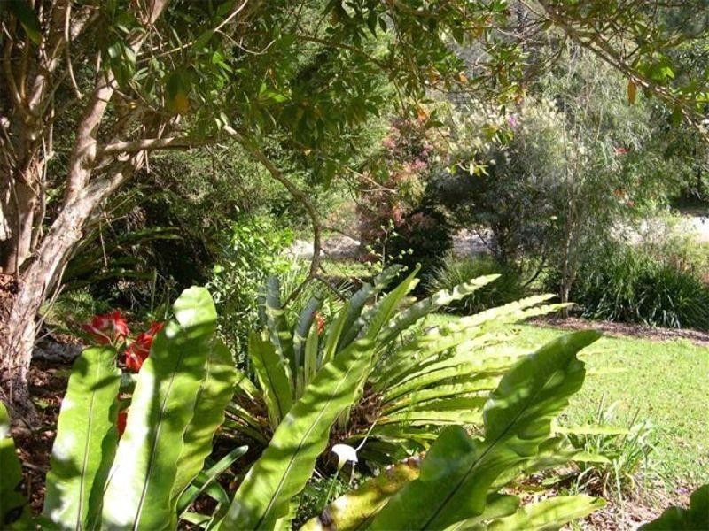 559 Batar Creek Road, Kendall NSW 2439