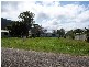 Dunbogan NSW 2443