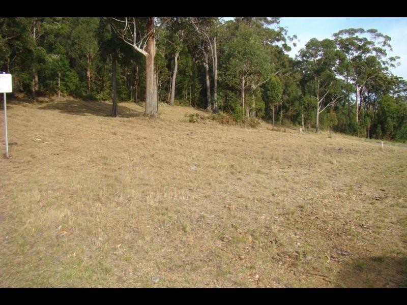 Lot 213 Black Swan Terrace, Laurieton NSW 2443