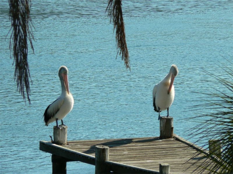 North Haven NSW 2443