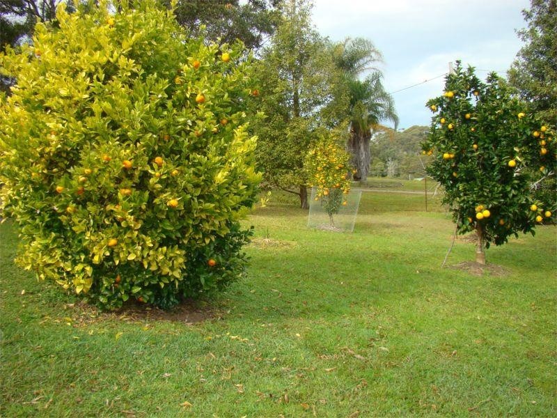 Laurieton NSW 2443