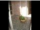 Laurieton NSW 2443