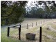 Kendall NSW 2439