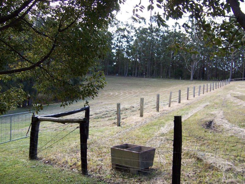 Kendall NSW 2439