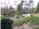 Kendall NSW 2439