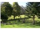 Kendall NSW 2439