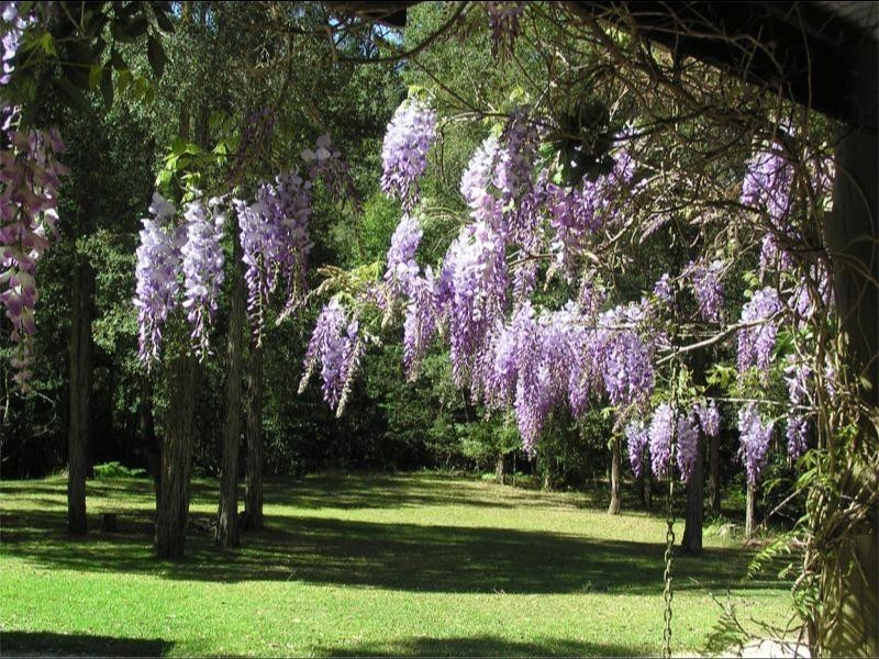 25 Forest Glen Road, Kendall NSW 2439