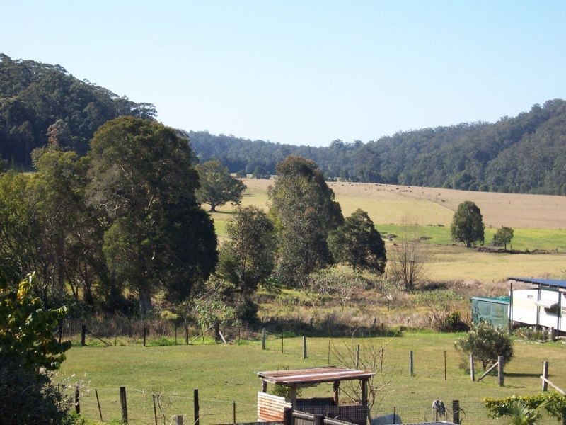 Kendall NSW 2439