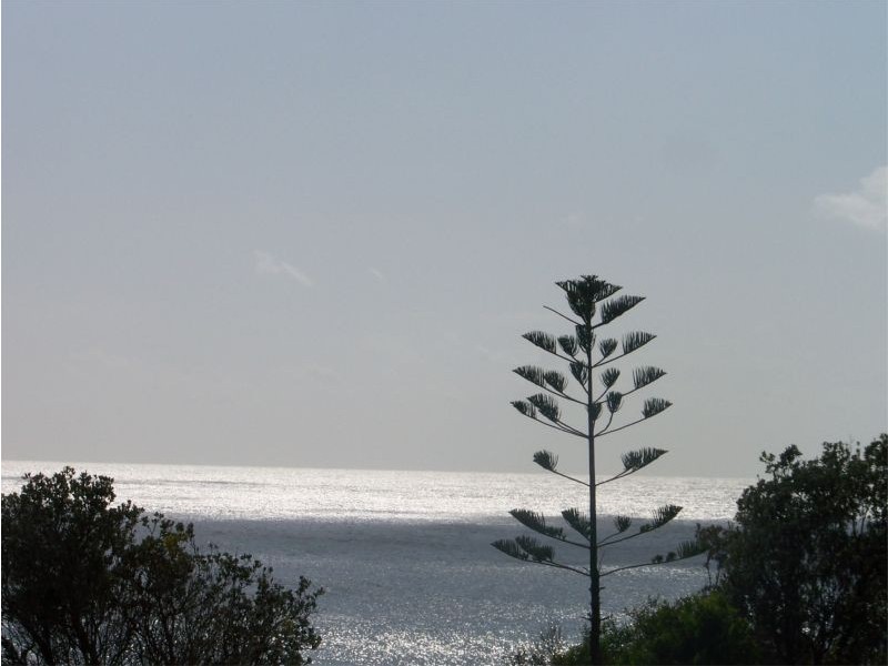 Bonny Hills NSW 2445