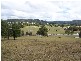 Kew NSW 2439