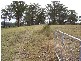 Kew NSW 2439