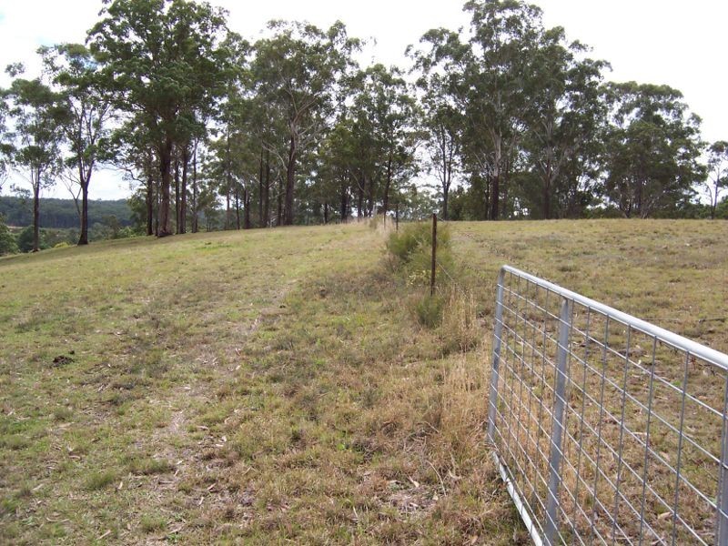 Kew NSW 2439